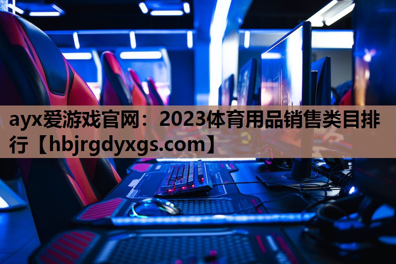 <strong>ayx爱游戏官网：2023体育用品销售类目排行</strong>