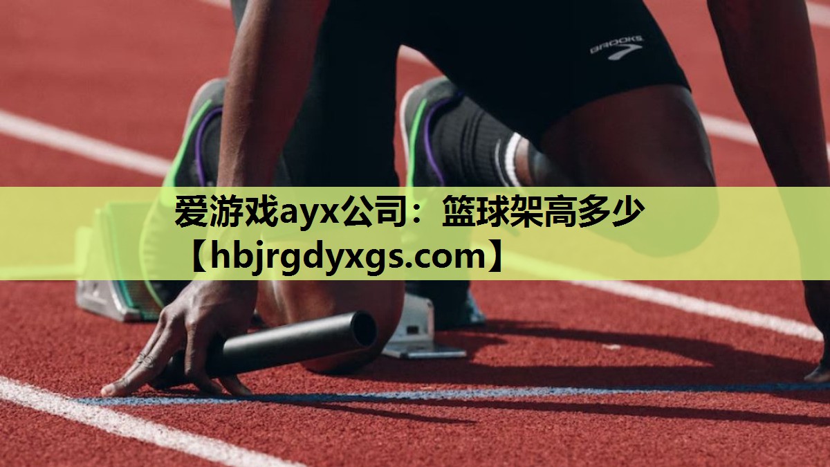 篮球架高多少